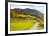 Bicycle Path Through Rural Mountain Landscape in Autumn-Miles Ertman-Framed Photographic Print