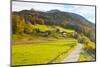 Bicycle Path Through Rural Mountain Landscape in Autumn-Miles Ertman-Mounted Premium Photographic Print