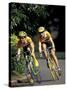 Bicycle Racers at Volunteer Park, Seattle, Washington, USA-William Sutton-Stretched Canvas