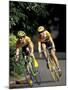 Bicycle Racers at Volunteer Park, Seattle, Washington, USA-William Sutton-Mounted Premium Photographic Print