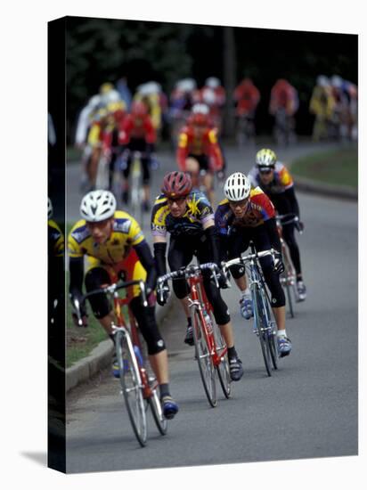 Bicycle Racers at Volunteer Park, Seattle, Washington, USA-William Sutton-Stretched Canvas