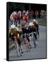 Bicycle Racers at Volunteer Park, Seattle, Washington, USA-William Sutton-Framed Stretched Canvas