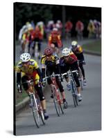 Bicycle Racers at Volunteer Park, Seattle, Washington, USA-William Sutton-Stretched Canvas