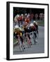 Bicycle Racers at Volunteer Park, Seattle, Washington, USA-William Sutton-Framed Premium Photographic Print
