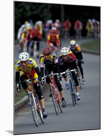 Bicycle Racers at Volunteer Park, Seattle, Washington, USA-William Sutton-Mounted Premium Photographic Print