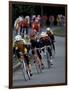 Bicycle Racers at Volunteer Park, Seattle, Washington, USA-William Sutton-Framed Photographic Print