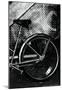 Bicycle Rear Tire-null-Mounted Poster