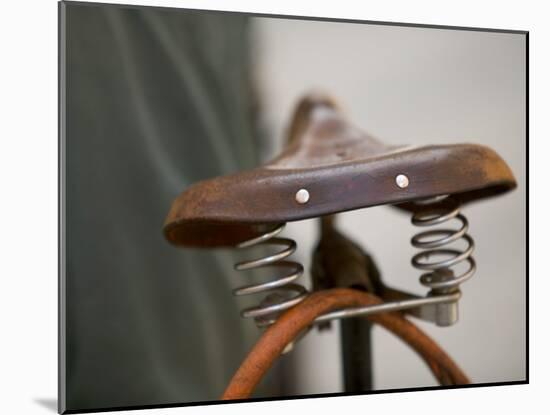 Bicycle Saddle, Znojmo, Czech Republic-Russell Young-Mounted Premium Photographic Print