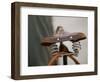 Bicycle Saddle, Znojmo, Czech Republic-Russell Young-Framed Photographic Print