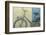 Bicycle Shadow-Josep Cisquella-Framed Photographic Print