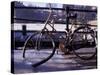 Bicycle Stuck in Frozen Canal, Amsterdam, Netherlands-Michele Molinari-Stretched Canvas