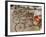 Bicycle Taxis, Khon Kaen, Thailand-Gavriel Jecan-Framed Photographic Print