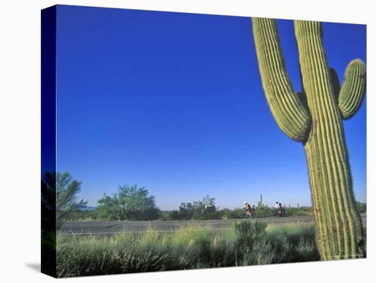 Bicycle Touring, Arizona, USA-Chuck Haney-Stretched Canvas