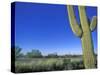 Bicycle Touring, Arizona, USA-Chuck Haney-Stretched Canvas