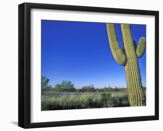 Bicycle Touring, Arizona, USA-Chuck Haney-Framed Photographic Print