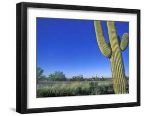 Bicycle Touring, Arizona, USA-Chuck Haney-Framed Photographic Print