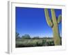 Bicycle Touring, Arizona, USA-Chuck Haney-Framed Photographic Print