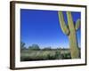 Bicycle Touring, Arizona, USA-Chuck Haney-Framed Photographic Print