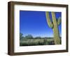 Bicycle Touring, Arizona, USA-Chuck Haney-Framed Photographic Print