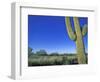 Bicycle Touring, Arizona, USA-Chuck Haney-Framed Photographic Print