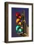 Bicycle Traffic Light-Guido Cozzi-Framed Photographic Print