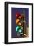 Bicycle Traffic Light-Guido Cozzi-Framed Photographic Print