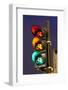 Bicycle Traffic Light-Guido Cozzi-Framed Photographic Print