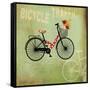 Bicycle Traffic-Andrew Michaels-Framed Stretched Canvas