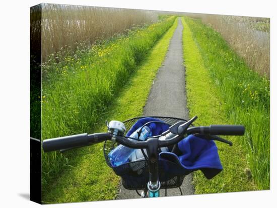 Bicycle Trail, Kinderdijk, Netherlands-Keren Su-Stretched Canvas