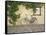 Bicycle, Turckheim, France 99-Monte Nagler-Framed Stretched Canvas