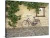 Bicycle, Turckheim, France 99-Monte Nagler-Stretched Canvas