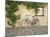 Bicycle, Turckheim, France 99-Monte Nagler-Mounted Photographic Print