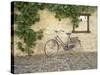 Bicycle, Turckheim, France 99-Monte Nagler-Stretched Canvas