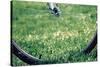 Bicycle Wheel in Grass-null-Stretched Canvas