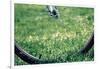 Bicycle Wheel in Grass-null-Framed Photo