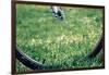 Bicycle Wheel in Grass-null-Framed Photo