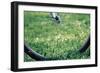 Bicycle Wheel in Grass-null-Framed Photo