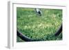 Bicycle Wheel in Grass-null-Framed Photo