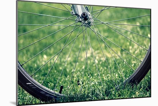 Bicycle Wheel in Grass-null-Mounted Photo