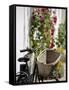 Bicycle with Basket and Hollyhocks, Ars-En-Re, Ile De Re, Charente-Maritime, France, Europe-Peter Richardson-Framed Stretched Canvas