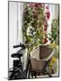 Bicycle with Basket and Hollyhocks, Ars-En-Re, Ile De Re, Charente-Maritime, France, Europe-Peter Richardson-Mounted Photographic Print