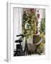 Bicycle with Basket and Hollyhocks, Ars-En-Re, Ile De Re, Charente-Maritime, France, Europe-Peter Richardson-Framed Photographic Print