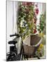 Bicycle with Basket and Hollyhocks, Ars-En-Re, Ile De Re, Charente-Maritime, France, Europe-Peter Richardson-Mounted Photographic Print