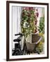 Bicycle with Basket and Hollyhocks, Ars-En-Re, Ile De Re, Charente-Maritime, France, Europe-Peter Richardson-Framed Photographic Print