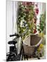 Bicycle with Basket and Hollyhocks, Ars-En-Re, Ile De Re, Charente-Maritime, France, Europe-Peter Richardson-Mounted Photographic Print