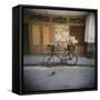 Bicycle with Flowers in Basket, Havana Centro, Havana, Cuba, West Indies, Central America-Lee Frost-Framed Stretched Canvas