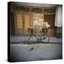 Bicycle with Flowers in Basket, Havana Centro, Havana, Cuba, West Indies, Central America-Lee Frost-Stretched Canvas