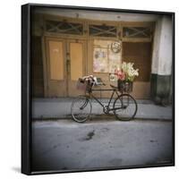 Bicycle with Flowers in Basket, Havana Centro, Havana, Cuba, West Indies, Central America-Lee Frost-Framed Photographic Print