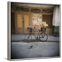 Bicycle with Flowers in Basket, Havana Centro, Havana, Cuba, West Indies, Central America-Lee Frost-Framed Photographic Print