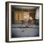 Bicycle with Flowers in Basket, Havana Centro, Havana, Cuba, West Indies, Central America-Lee Frost-Framed Photographic Print